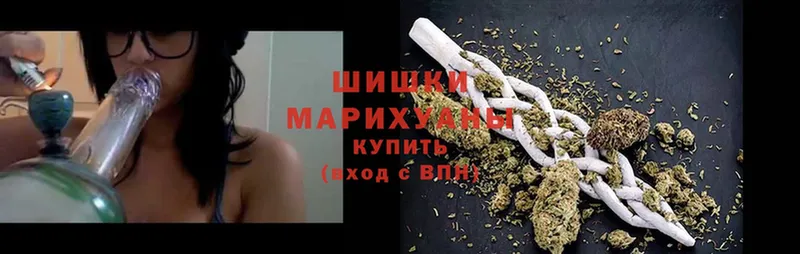 Бошки марихуана THC 21%  Кувшиново 